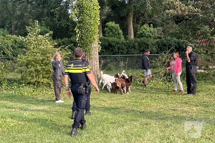 nieuws rijksstraatweg numansdorp