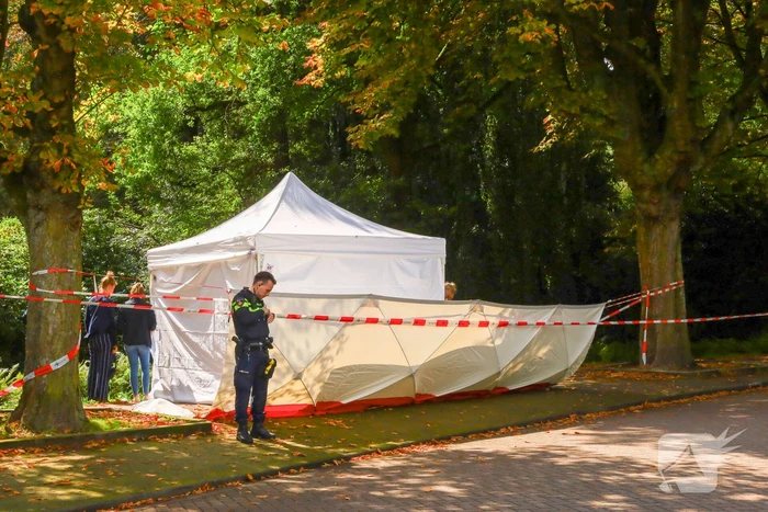 nieuws parklaan eindhoven