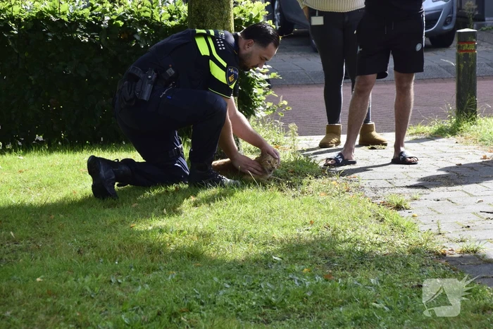 Woning in flat brandt volledig uit