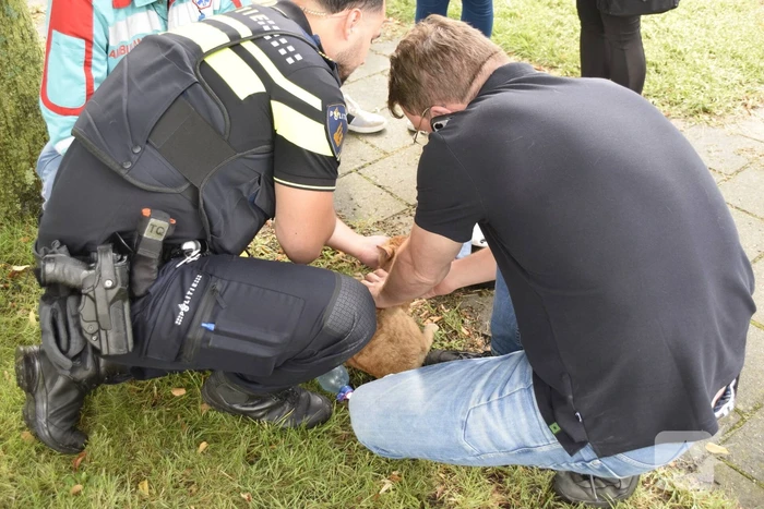 Woning in flat brandt volledig uit