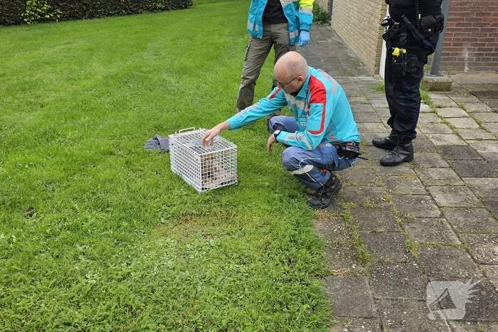 Woning in flat brandt volledig uit