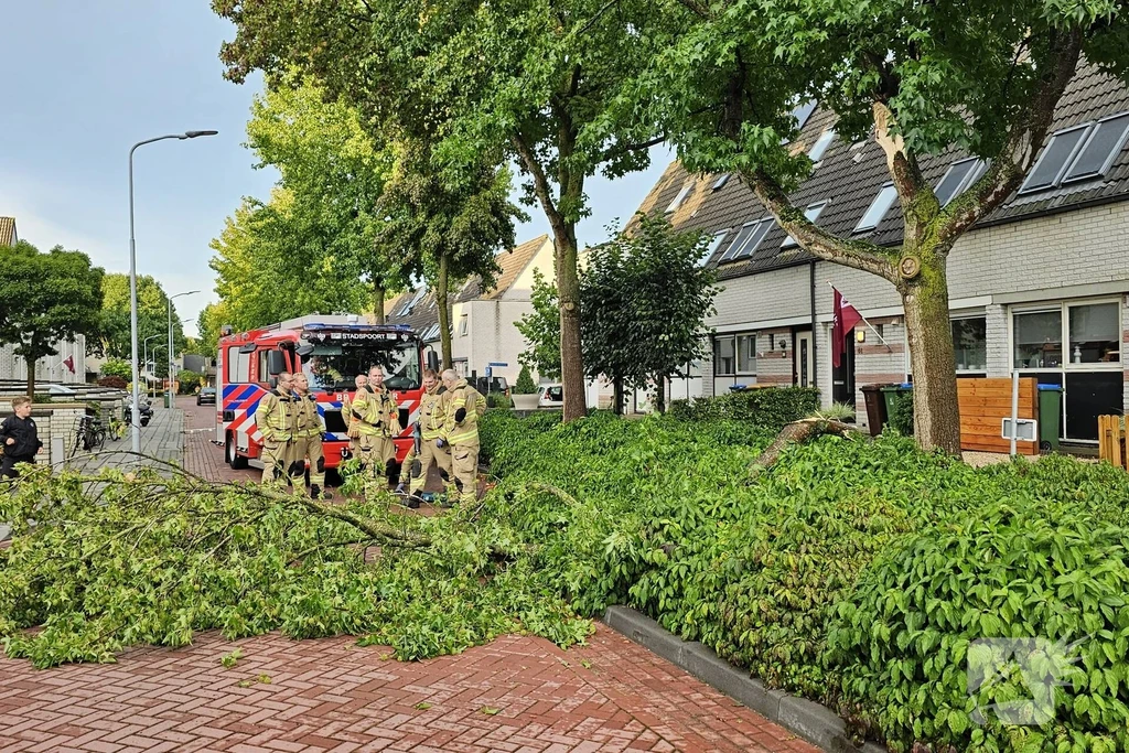 Martin Luther Kingstate 112 nieuws Ede 