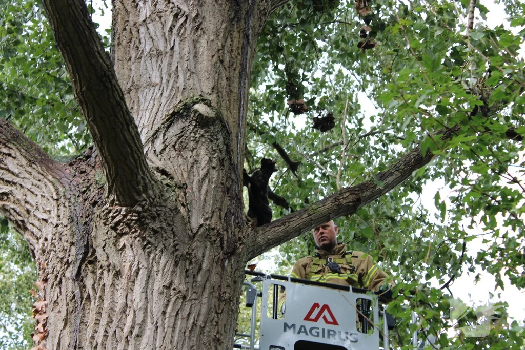 Baanhoekweg 112 melding Dordrecht 