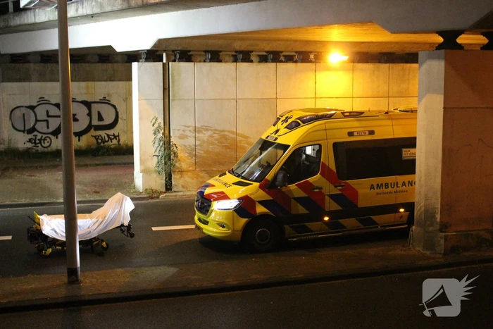 Hulpdiensten halen persoon van viaduct af, geen treinverkeer