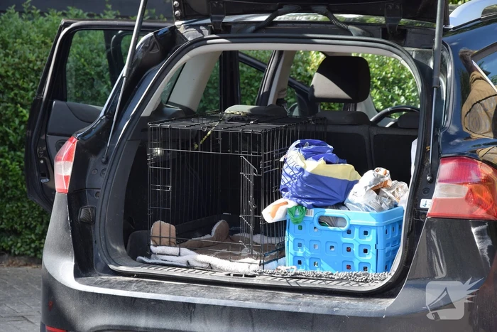 Hond per ongeluk opgesloten in warme auto, brandweer slaat raam in