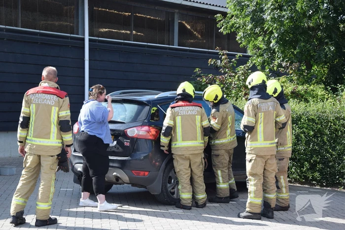 Hond per ongeluk opgesloten in warme auto, brandweer slaat raam in