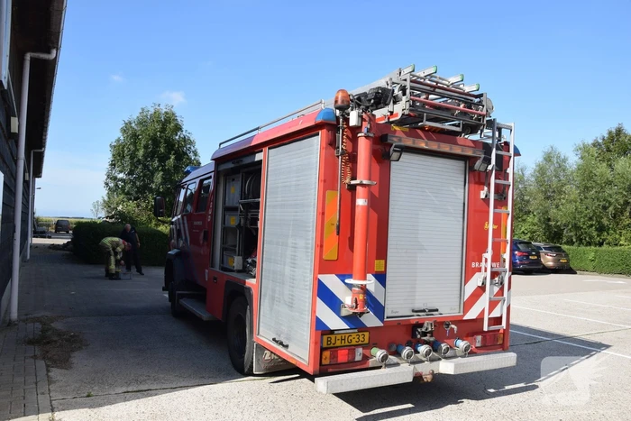 Hond per ongeluk opgesloten in warme auto, brandweer slaat raam in