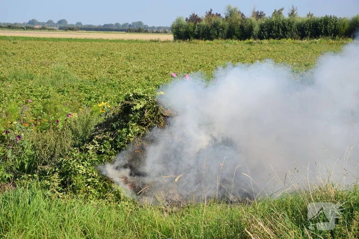 Brand in snoeiafval snel onder controle