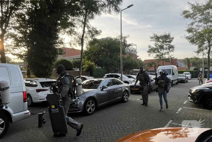 nieuws hanespoordoorn rotterdam