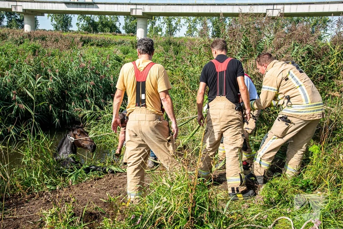 nieuws hofweg poortugaal