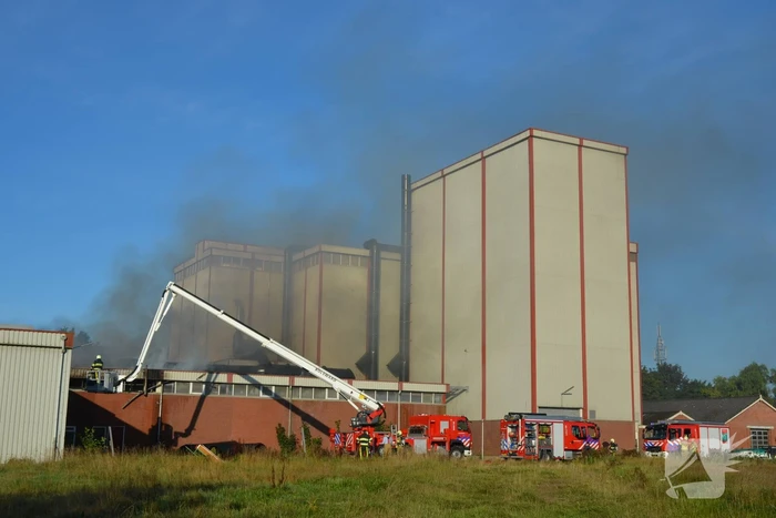 brand mûnestrjitte feanwâlden