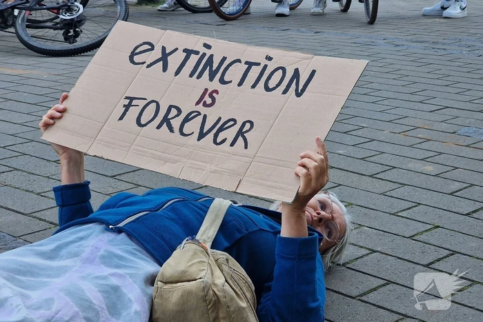 Demonstratie Extinction Rebellion voor het gemeentehuis