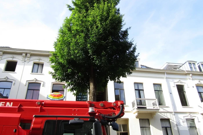 Brand op dak van woning