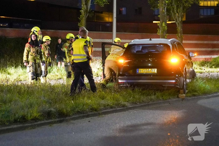 Automobilist klapt op boom