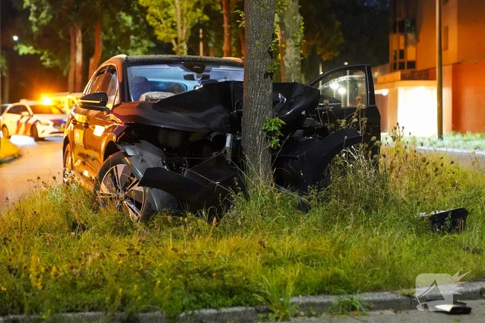 Automobilist klapt op boom