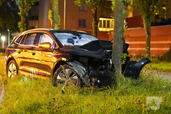 Automobilist klapt op boom