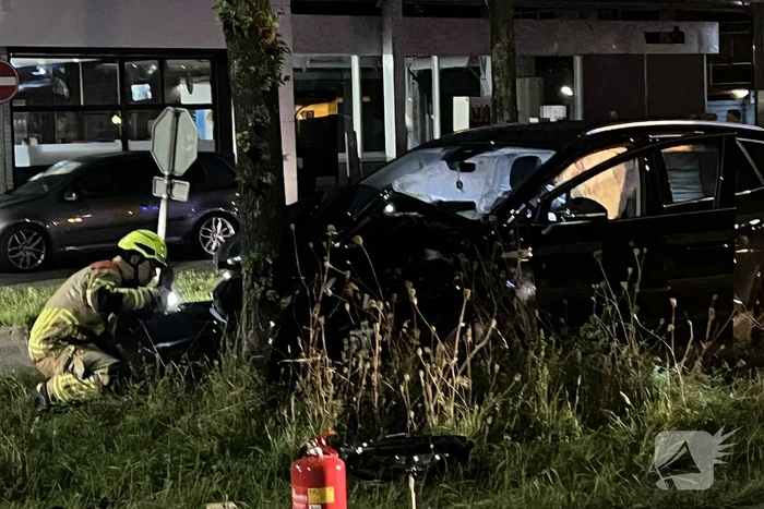Automobilist klapt op boom