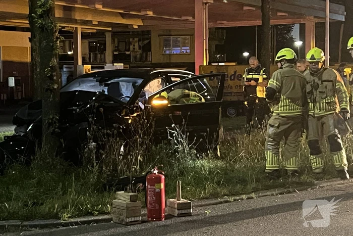 Automobilist klapt op boom