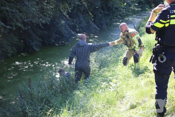 Zoekslagen in water na aantreffen kinderstep