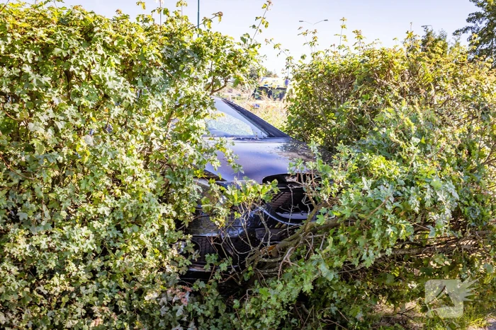 Auto belandt in bosschage bij botsing