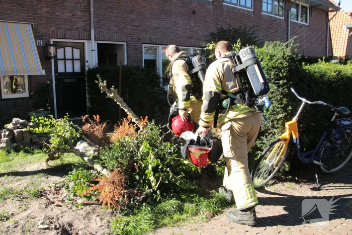 Gasleiding geraakt tijdens weghalen van boom