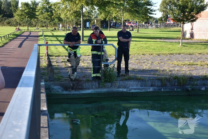 nieuws kaapse baan haren gn
