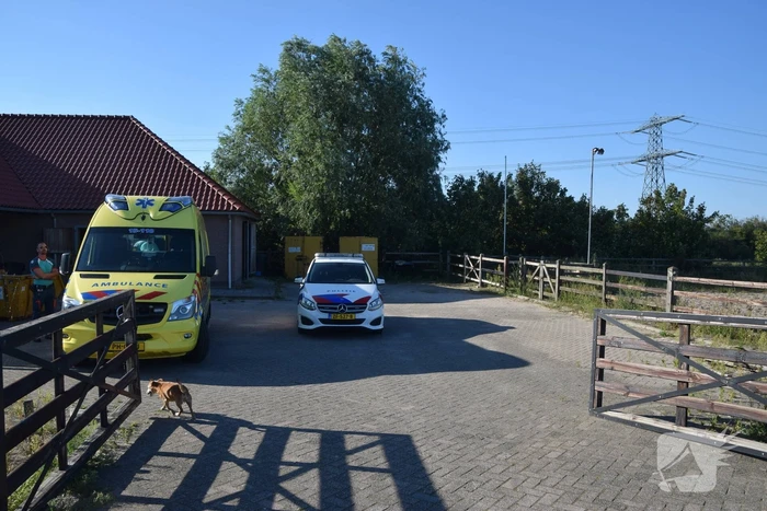 Veel schade na aanrijding tussen scooter en auto
