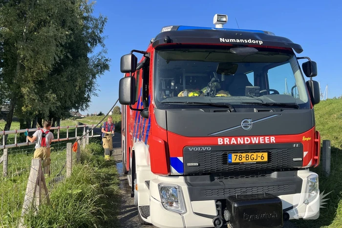 Schaap uit sloot gered door brandweer