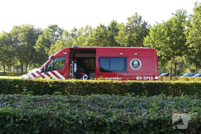 Zwemmer raakt in problemen en overlijdt