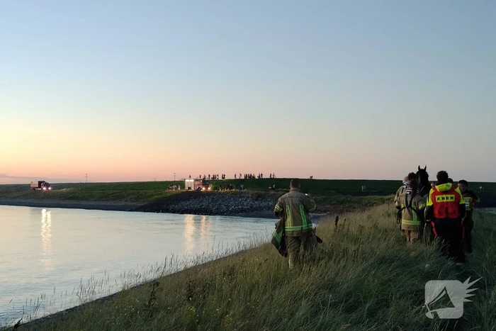 Hulpdiensten ingezet nadat paard verkoeling zoekt in Westerschelde