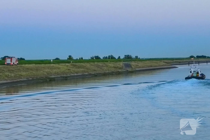 Hulpdiensten ingezet nadat paard verkoeling zoekt in Westerschelde