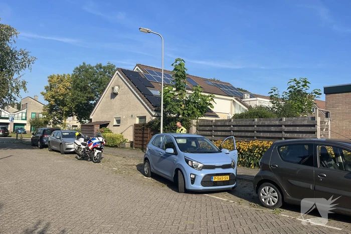 Alcomobilist richt schade aan