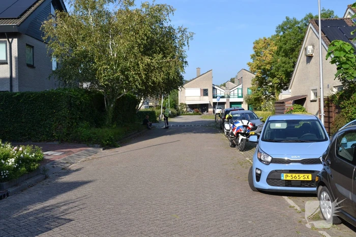 Alcomobilist richt schade aan