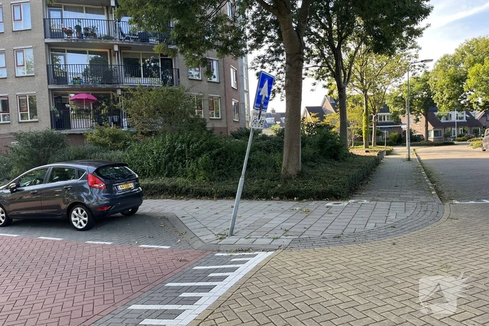 Alcomobilist richt schade aan