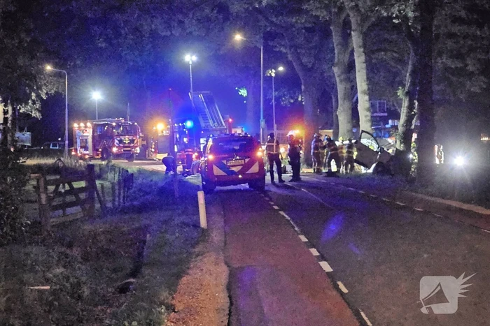 Twee doden nadat bestelbus frontaal op boom botst