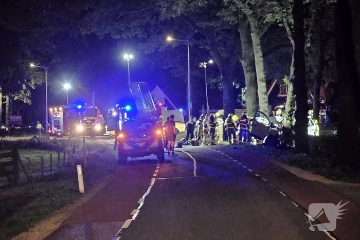 Twee doden nadat bestelbus frontaal op boom botst