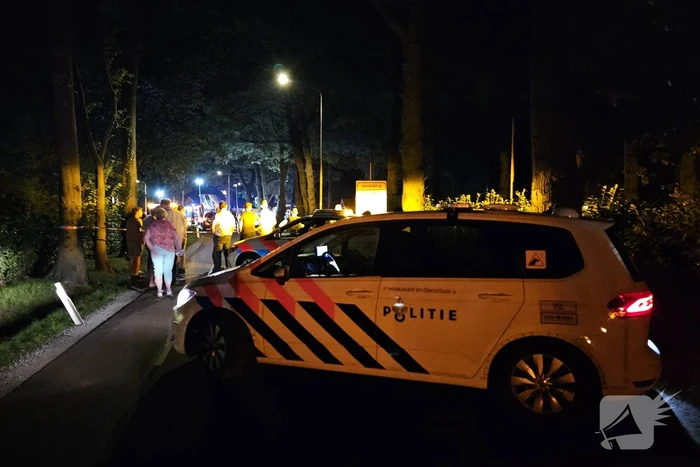 Twee doden nadat bestelbus frontaal op boom botst