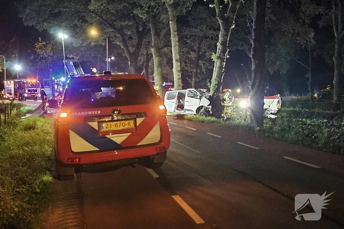 Twee doden nadat bestelbus frontaal op boom botst