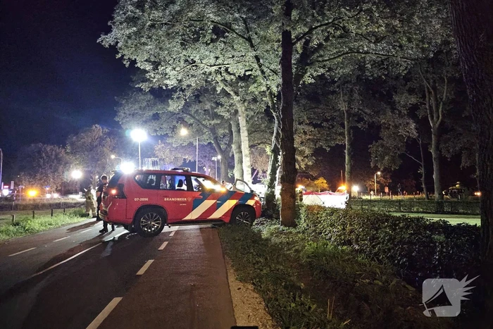 Twee doden nadat bestelbus frontaal op boom botst