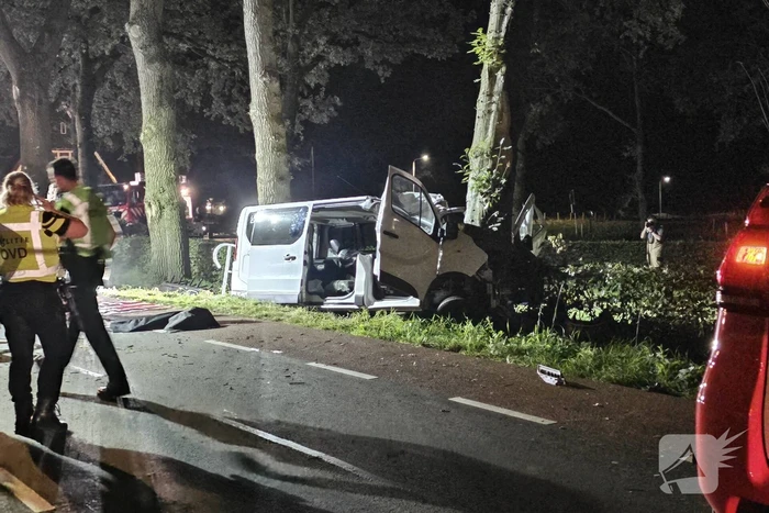 Twee doden nadat bestelbus frontaal op boom botst