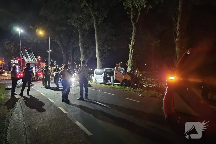 Twee doden nadat bestelbus frontaal op boom botst