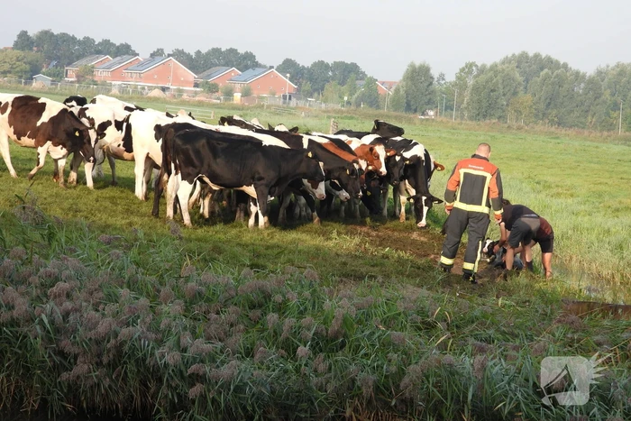 nieuws natalie barneykade groningen
