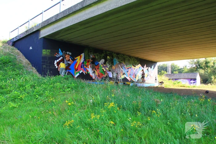 Graffitispuiters trekken veel bekijks