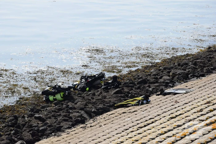 Duiker in problemen uit water gehaald