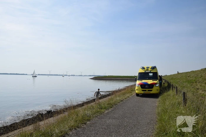 Duiker in problemen uit water gehaald