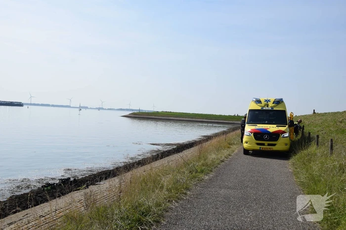 Duiker in problemen uit water gehaald