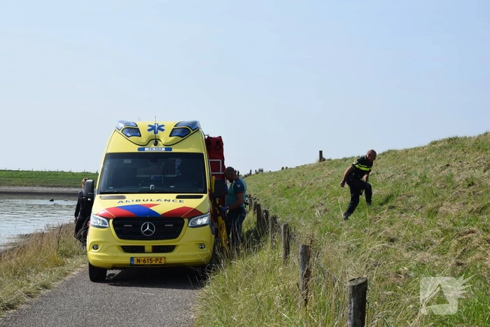 Duiker in problemen uit water gehaald