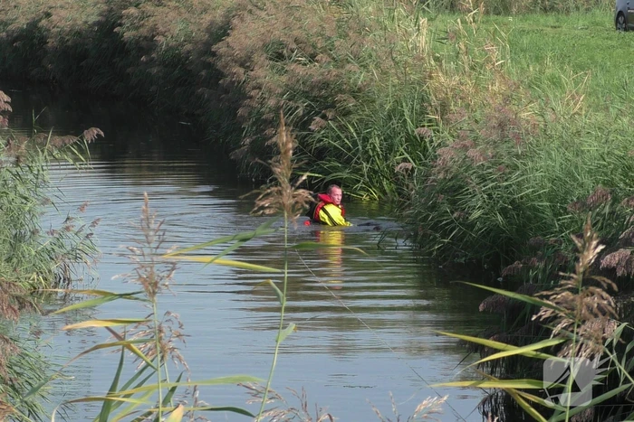 Grote zoekactie naar te water geraakte hond