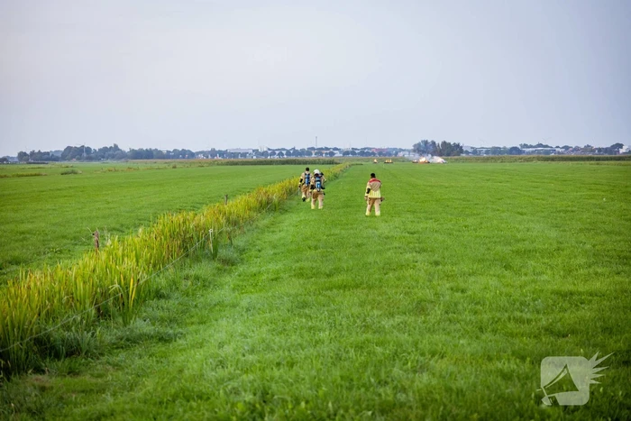 Brand in weiland