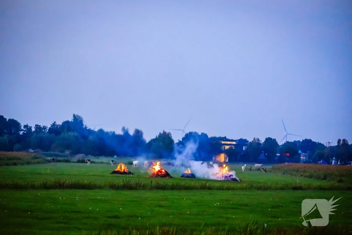 Brand in weiland